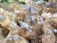 Natural XXL Cascading Smokey Citrine Quartz Cluster x 1 From Luena, Congo