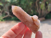 Natural Fairy Golden Limonite Spirit Quartz Crystals x 35 From Boekenhouthoek, South Africa