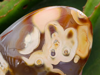 Polished Banded Agate Standing Free Forms x 4 From Madagascar