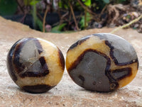 Polished Septerye Galets x 12 From Mahajanga, Madagascar