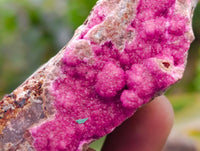 Natural Salrose Cobaltion Dolomite Specimens x 6 From Kakanda, Congo