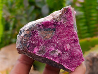 Natural Salrose Cobaltion Dolomite Specimens x 6 From Kakanda, Congo
