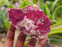 Natural Salrose Cobaltion Dolomite Specimens x 6 From Kakanda, Congo