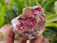 Natural Salrose Cobaltion Dolomite Specimens x 6 From Kakanda, Congo