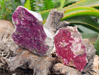 Natural Salrose Cobaltion Dolomite Specimens x 6 From Kakanda, Congo