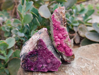 Natural Salrose Cobaltion Dolomite Specimens x 6 From Kakanda, Congo