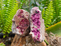 Natural Salrose Cobaltion Dolomite Specimens x 6 From Kakanda, Congo