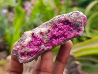 Natural Salrose Cobaltion Dolomite Specimens x 6 From Kakanda, Congo