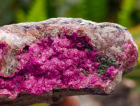Natural Salrose Cobaltion Dolomite Specimens x 6 From Kakanda, Congo