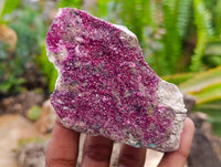 Natural Salrose Cobaltion Dolomite Specimens x 6 From Kakanda, Congo
