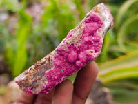 Natural Salrose Cobaltion Dolomite Specimens x 6 From Kakanda, Congo