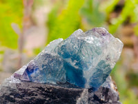 Natural Watermelon Fluorite Cobbed Specimens x 10 From Uis, Namibia
