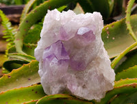 Natural Jacaranda Amethyst Crystal Clusters x 4 From Mumbwa, Zambia