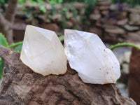 Natural Clear Quartz Crystals x 12 From Madagascar