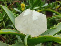 Natural Clear Quartz Crystals x 12 From Madagascar
