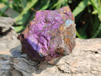 Natural Metallic Purpurite Specimens x 12 From Erongo, Namibia