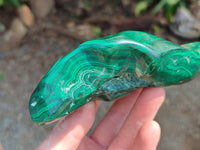 Polished Flower Banded Malachite Free Forms x 3 From Congo