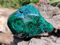 Polished Flower Banded Malachite Free Forms x 3 From Congo