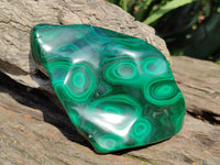 Polished Flower Banded Malachite Free Forms x 3 From Congo