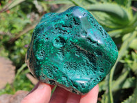 Polished Flower Banded Malachite Free Forms x 3 From Congo