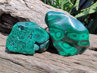 Polished Flower Banded Malachite Free Forms x 3 From Congo
