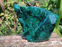 Polished Flower Banded Malachite Free Forms x 3 From Congo