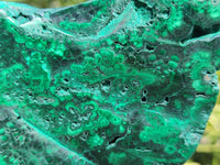 Polished Flower Banded Malachite Free Forms x 3 From Congo