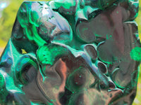 Polished Flower Banded Malachite Free Forms x 3 From Congo