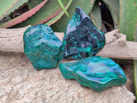 Polished Flower Banded Malachite Free Forms x 3 From Congo