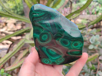 Polished Flower Banded Malachite Free Forms x 3 From Congo