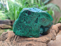 Polished Flower Banded Malachite Free Forms x 3 From Congo