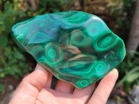 Polished Flower Banded Malachite Free Forms x 3 From Congo