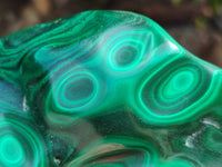 Polished Flower Banded Malachite Free Forms x 3 From Congo