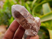 Natural Red Hematoid Quartz Crystals x 24 From Karoi, Zimbabwe