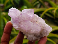 Natural Amethyst Spirit Clusters x 6 From Boekenhouthoek, South Africa