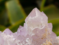 Natural Amethyst Spirit Clusters x 6 From Boekenhouthoek, South Africa