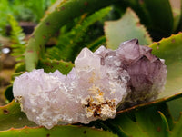 Natural Amethyst Spirit Clusters x 6 From Boekenhouthoek, South Africa