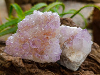 Natural Amethyst Spirit Clusters x 6 From Boekenhouthoek, South Africa