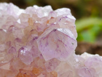 Natural Amethyst Spirit Clusters x 6 From Boekenhouthoek, South Africa