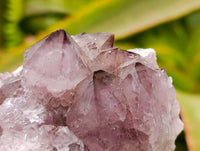 Natural Amethyst Spirit Clusters x 6 From Boekenhouthoek, South Africa