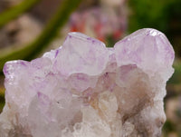 Natural Amethyst Spirit Clusters x 6 From Boekenhouthoek, South Africa
