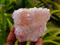 Natural Amethyst Spirit Clusters x 6 From Boekenhouthoek, South Africa