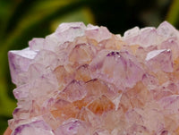 Natural Amethyst Spirit Clusters x 6 From Boekenhouthoek, South Africa