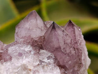Natural Amethyst Spirit Clusters x 6 From Boekenhouthoek, South Africa