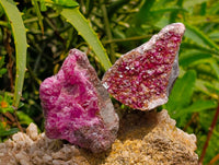 Natural Salrose Cobaltion Dolomite Specimens x 12 From Kakanda, Congo
