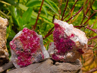 Natural Salrose Cobaltion Dolomite Specimens x 12 From Kakanda, Congo