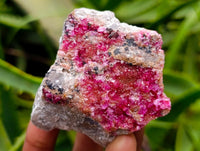 Natural Salrose Cobaltion Dolomite Specimens x 12 From Kakanda, Congo
