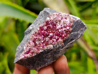 Natural Salrose Cobaltion Dolomite Specimens x 12 From Kakanda, Congo