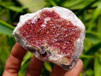 Natural Salrose Cobaltion Dolomite Specimens x 12 From Kakanda, Congo