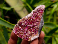 Natural Salrose Cobaltion Dolomite Specimens x 12 From Kakanda, Congo